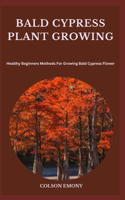 Bald Cypress Plant Growing