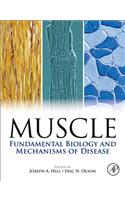 Muscle 2-Volume Set