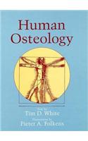 Human Osteology
