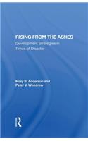 Rising from the Ashes: Development Strategies in Times of Disaster