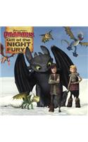 Gift of the Night Fury