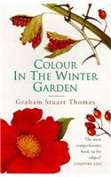 Colour In The Winter Garden