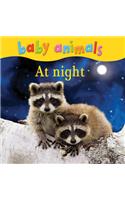 Baby Animals: At Night