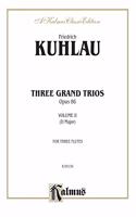 KUHLAU GRAND TRIO OP862 3FL