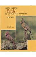 Introducing Birds to Young Naturalists: From Texas Parks and Wildlife Magazine