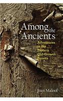 Among the Ancients