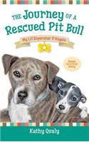 Journey of a Rescued Pit Bull