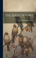 Birds Of Iowa