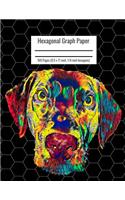 Hexagonal Graph Paper