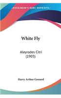 White Fly