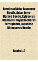 Beetles of Asia: Japanese Beetle, Asian Long-Horned Beetle, Xyleborus Glabratus, Rhynchophorus Ferrugineus, Japanese Rhinoceros Beetle