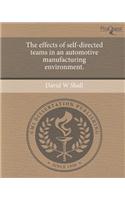 The Effects of Self-Directed Teams in an Automotive Manufacturing Environment