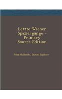 Letzte Wiener Spaziergange