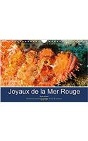 Joyaux De La Mer Rouge 2018