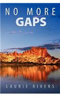No More Gaps: Combining Health, Development & Environment Strategies to Eradicate Disadvantage in the Northern Territory of Australia(English)