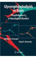 Glycerophospholipids in the Brain