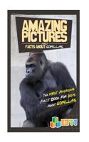 Amazing Pictures and Facts about Gorillas