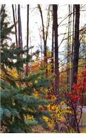 Lone Evergreen Journal: (Notebook, Diary, Blank Book)