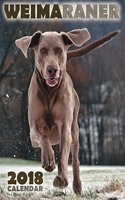 Weimaraner 2018 Calendar