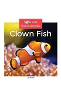 Clown Fish