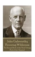 John Galsworthy - Flowering Wilderness