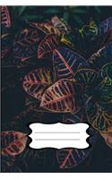 Daily task and productivity journal: notebook for planning and achieving more daily