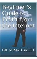 Beginner's Guide to Profit from the Internet