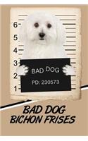 Bad Dog Bichon Frises