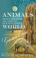 Animals That Come From All Around Our Wonderful World