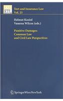Punitive Damages: Common Law and Civil Law Perspectives