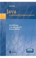 Java professionell programmieren: Eine Einführung in die erweiterten APIs der Java 2 Plattform