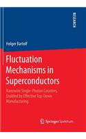 Fluctuation Mechanisms in Superconductors