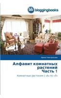 Алфавит комнатных растений Часть 1