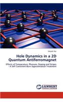 Hole Dynamics in a 2D Quantum Antiferromagnet