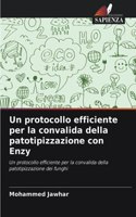 Un protocollo efficiente per la convalida della patotipizzazione con Enzy