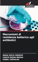 Meccanismi di resistenza batterica agli antibiotici
