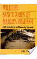 Wildlife Sanctuaries of Madhya Pradesh