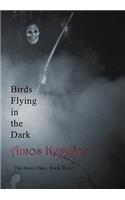 Birds Flying in the Dark