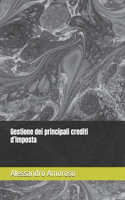 Gestione dei principali crediti d'imposta: (2 Focus Fiscale 2024)