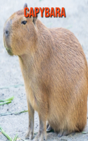 Capybara