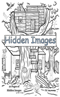 Hidden Images