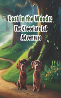 Lost in the Woods