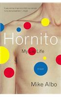 Hornito
