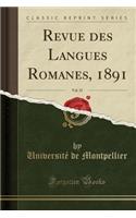 Revue Des Langues Romanes, 1891, Vol. 35 (Classic Reprint)
