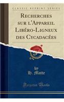 Recherches Sur l'Appareil LibÃ©ro-Ligneux Des CycadacÃ©es (Classic Reprint)