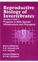 Reproductive Biology of Invertebrates, Progress in Male Gamete Ultrastructure and Phylogeny