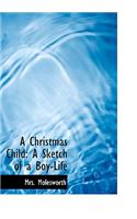 A Christmas Child: A Sketch of a Boy-Life (Large Print Edition)