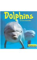 Dolphins