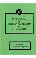 Principles of Protein Nutrition of Ruminants