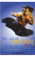 Art of Stretching and Kicking